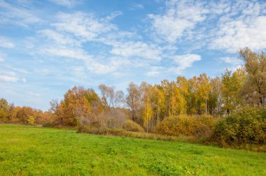 Sonbahar terk edilmiş golf sahası