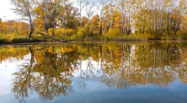 Sonbahar, sudaki ağaçların göldeki yansıması üzerine sessizdir.