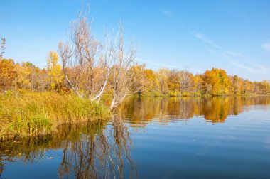 Sonbahar, sudaki ağaçların göldeki yansıması üzerine sessizdir.