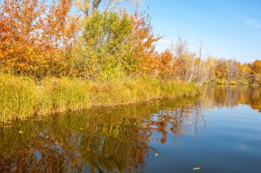 Sonbahar, sudaki ağaçların göldeki yansıması üzerine sessizdir.