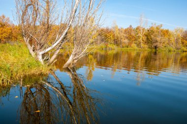 Sonbahar, sudaki ağaçların göldeki yansıması üzerine sessizdir.