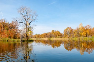 Sonbahar, sudaki ağaçların göldeki yansıması üzerine sessizdir.