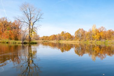 Sonbahar, sudaki ağaçların göldeki yansıması üzerine sessizdir.