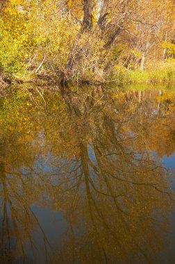 Sonbahar, sudaki ağaçların göldeki yansıması üzerine sessizdir.