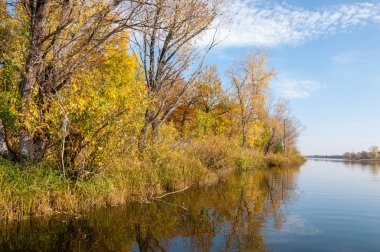 Sonbahar, sudaki ağaçların göldeki yansıması üzerine sessizdir.