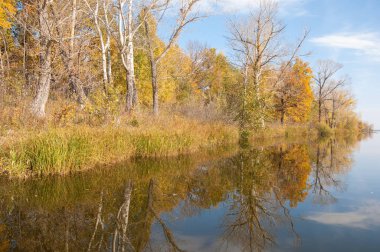 Sonbahar, sudaki ağaçların göldeki yansıması üzerine sessizdir.