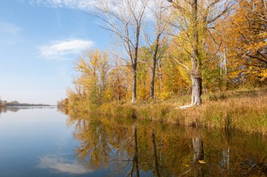 Sonbahar, sudaki ağaçların göldeki yansıması üzerine sessizdir.
