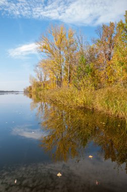 Sonbahar, sudaki ağaçların göldeki yansıması üzerine sessizdir.