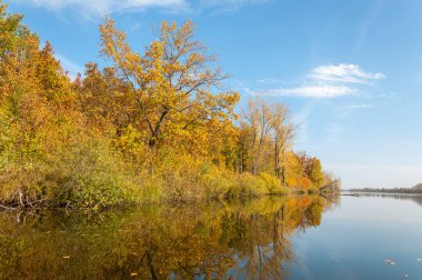 Sonbahar, sudaki ağaçların göldeki yansıması üzerine sessizdir.