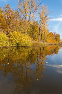 Sonbahar, sudaki ağaçların göldeki yansıması üzerine sessizdir.