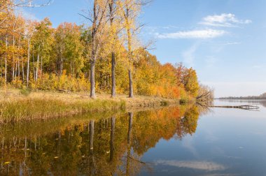 Sonbahar, sudaki ağaçların göldeki yansıması üzerine sessizdir.