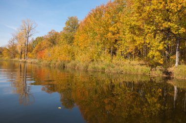 Sonbahar, sudaki ağaçların göldeki yansıması üzerine sessizdir.
