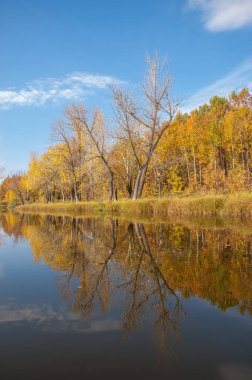 Sonbahar, sudaki ağaçların göldeki yansıması üzerine sessizdir.