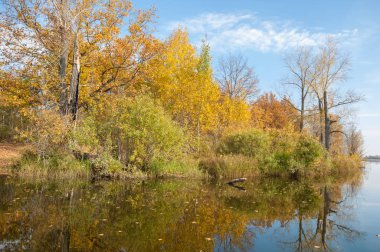Sonbahar, sudaki ağaçların göldeki yansıması üzerine sessizdir.