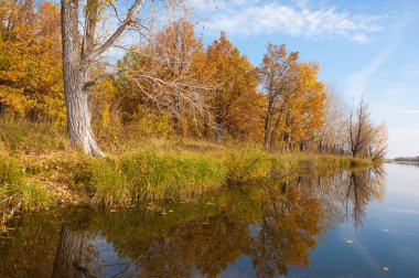 Sonbahar, sudaki ağaçların göldeki yansıması üzerine sessizdir.