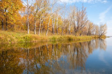 Sonbahar, sudaki ağaçların göldeki yansıması üzerine sessizdir.