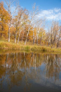 Sonbahar, sudaki ağaçların göldeki yansıması üzerine sessizdir.