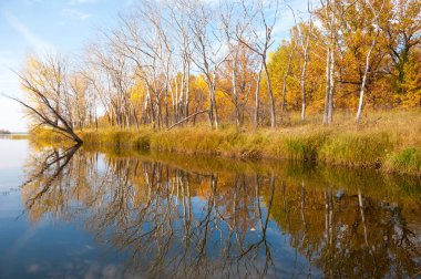 Sonbahar, sudaki ağaçların göldeki yansıması üzerine sessizdir.