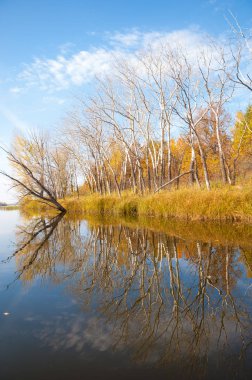Sonbahar, sudaki ağaçların göldeki yansıması üzerine sessizdir.