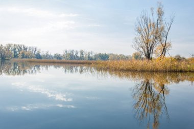 Sonbahar, sudaki ağaçların göldeki yansıması üzerine sessizdir.