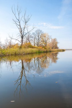 Sonbahar, sudaki ağaçların göldeki yansıması üzerine sessizdir.