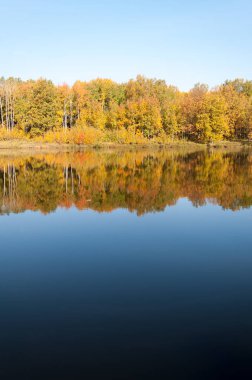 Sonbahar, sudaki ağaçların göldeki yansıması üzerine sessizdir.