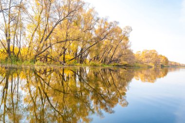 Sonbahar, sudaki ağaçların göldeki yansıması üzerine sessizdir.