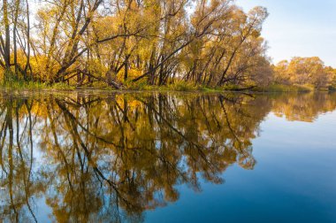 Sonbahar, sudaki ağaçların göldeki yansıması üzerine sessizdir.