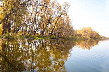 Sonbahar, sudaki ağaçların göldeki yansıması üzerine sessizdir.