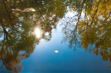 Sonbahar, sudaki ağaçların göldeki yansıması üzerine sessizdir.