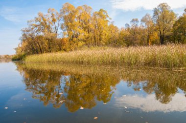 Sonbahar, sudaki ağaçların göldeki yansıması üzerine sessizdir.