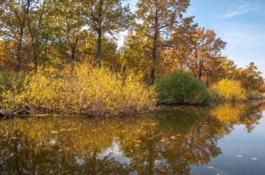 Sonbahar, sudaki ağaçların göldeki yansıması üzerine sessizdir.