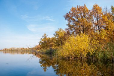 Sonbahar, sudaki ağaçların göldeki yansıması üzerine sessizdir.
