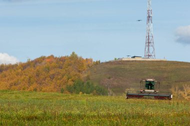 Çim biçmek için sonbahar çayırı