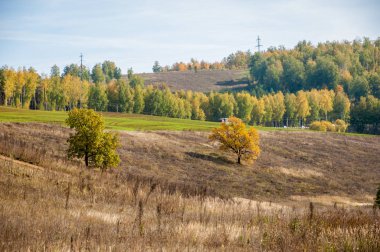 Dağın yüksek yamaçlarında canlı renkler içinde 