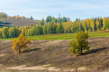 Dağın yüksek yamaçlarında canlı renkler içinde 