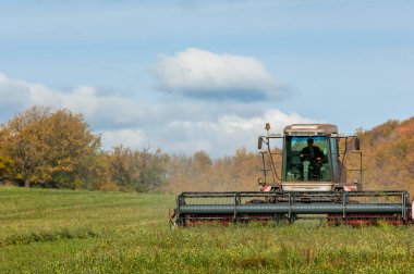Çim biçmek için sonbahar çayırı