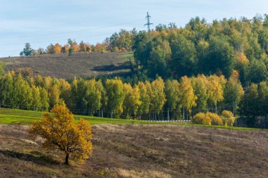Dağın yüksek yamaçlarında canlı renkler içinde 