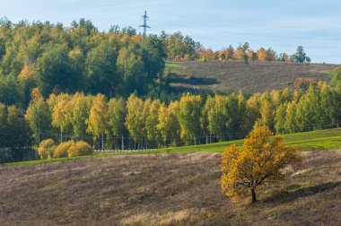 Dağın yüksek yamaçlarında canlı renkler içinde 