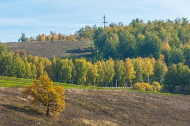 Dağın yüksek yamaçlarında canlı renkler içinde 