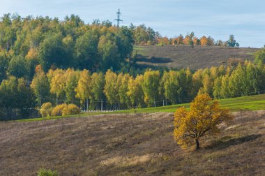 Dağın yüksek yamaçlarında canlı renkler içinde 