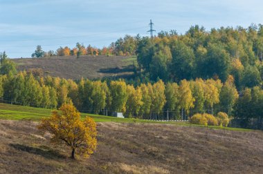 Dağın yüksek yamaçlarında canlı renkler içinde 