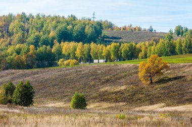 Dağın yüksek yamaçlarında canlı renkler içinde 