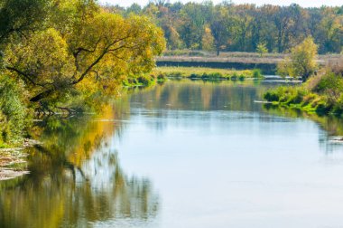 Sonbahar nehri, sarı yapraklı ağaçlar suyun üzerine eğilmiş.
