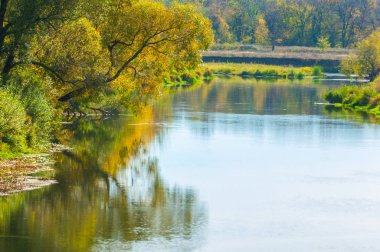 Sonbahar nehri, sarı yapraklı ağaçlar suyun üzerine eğilmiş.