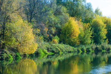 Sonbahar nehri, sarı yapraklı ağaçlar suyun üzerine eğilmiş.