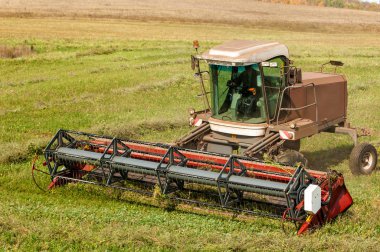 Çim biçmek için sonbahar çayırı