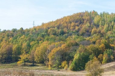 Sonbahar, sarı yapraklar tepelerde ağaçlar