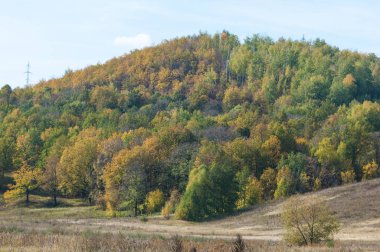 Sonbahar, sarı yapraklar tepelerde ağaçlar