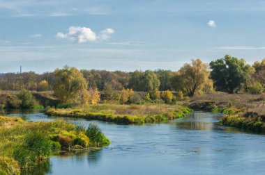 Nehir kenarında sarı yaprakları olan sonbahar ağaçları